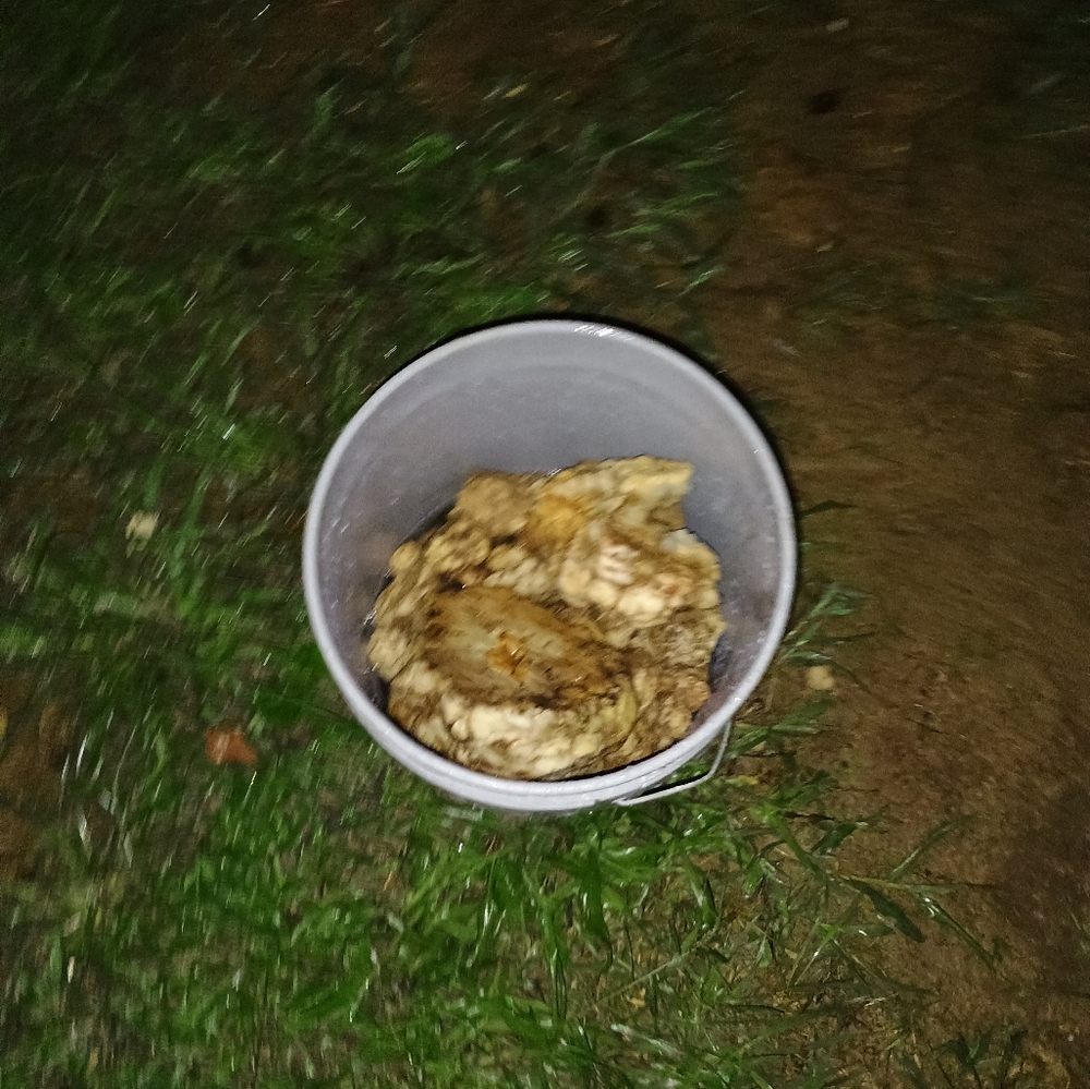 Geo's - Picture 7 of 12